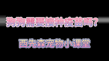 狗狗狂犬病疫苗_狗得狂犬疫苗_狗狗接种狂犬病疫苗