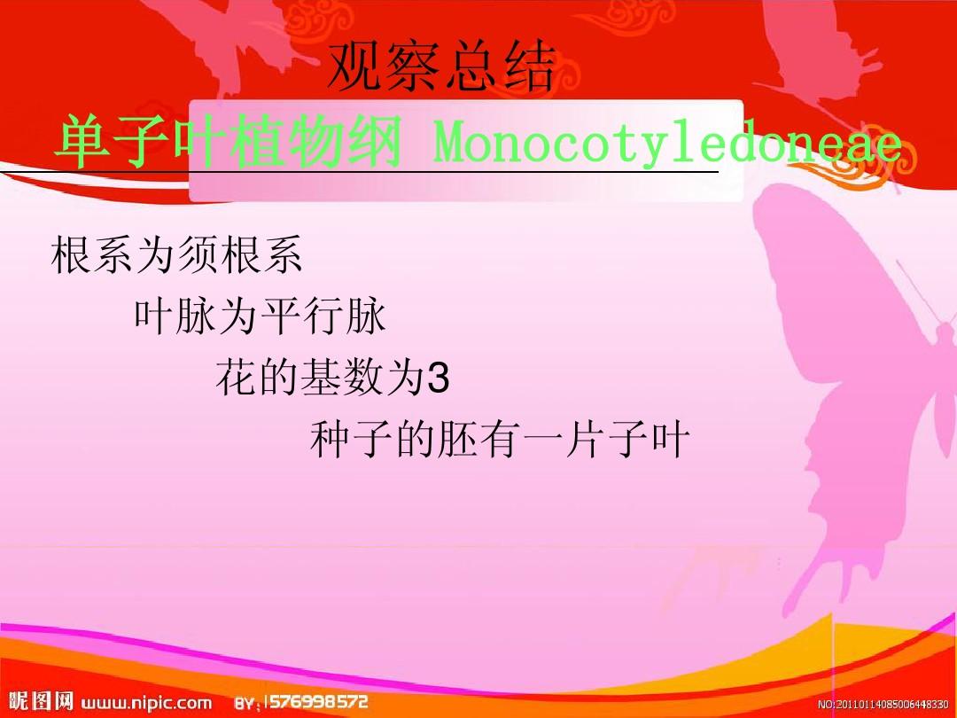 单子叶种子有什么_种子单子叶植物的结构_单子叶种子都有胚乳吗