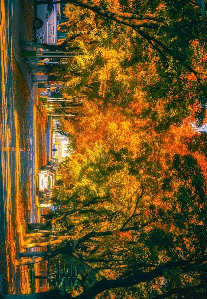 100floors季节攻略_100floors攻略58_100层电梯季节塔攻略