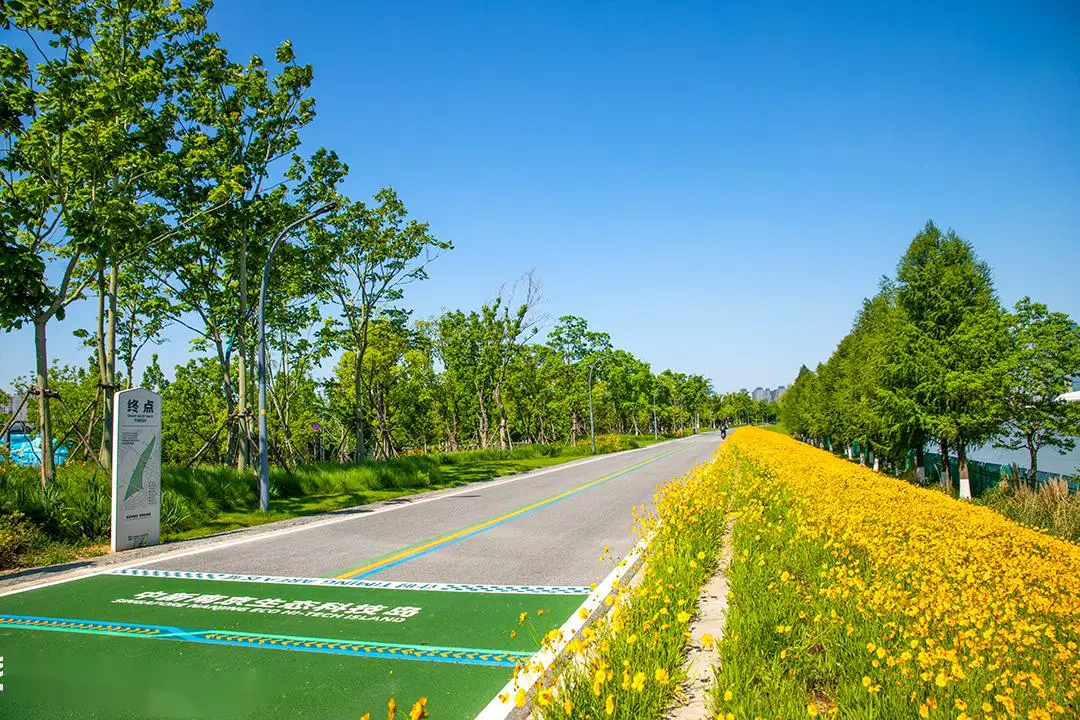 跑跑卡丁车排行天梯图_跑跑卡丁车手游天梯_跑跑卡丁车天梯图2024