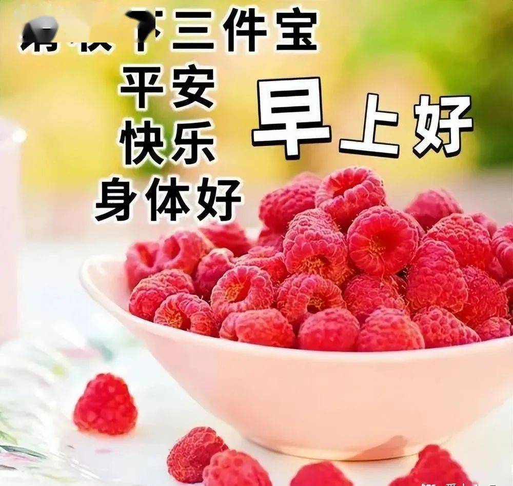视频玩耍猫咪小狗_玩猫视频搞笑视频_猫咪玩耍小视频