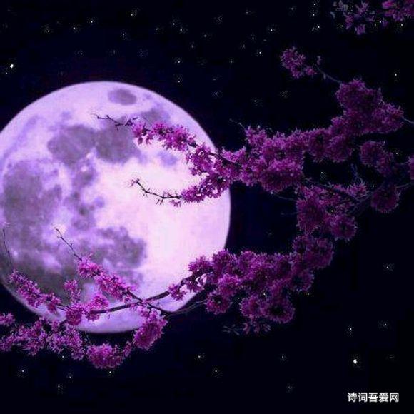 妃夕妍雪cp_妃夕妍雪是什么意思_妃夕妍雪青堂是谁