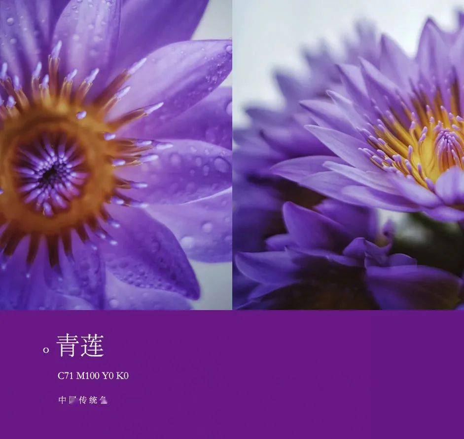 妃夕妍雪是什么意思_妃夕妍雪cp_妃夕妍雪青堂是谁