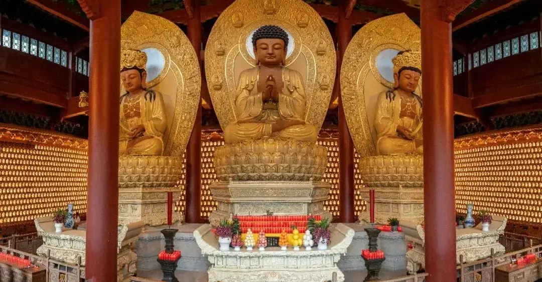 济公在灵隐寺待了多久_济公被赶出灵隐寺后来怎么样_灵隐寺赶出济公