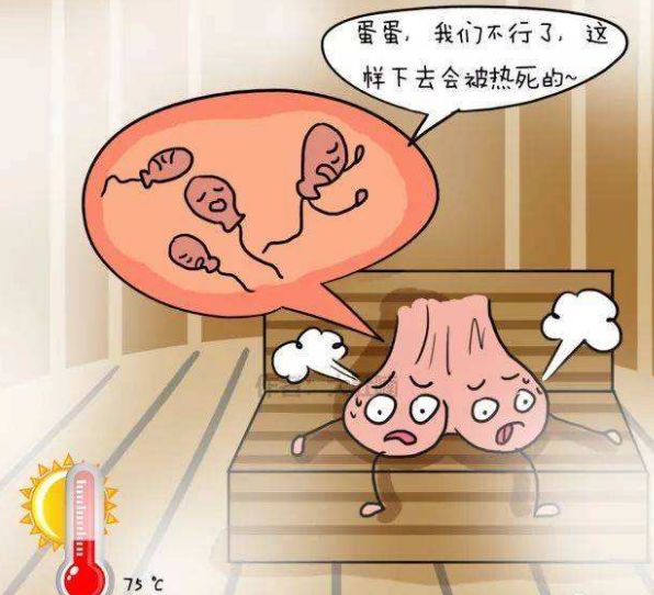 男人两个蛋蛋软踏踏_男人蛋蛋下面_美女检查男人蛋蛋
