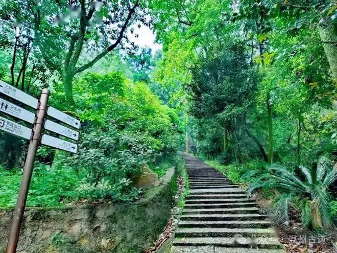 欢天喜地七仙女仙女阁拍摄地_欢天喜地七仙女七对名字_欢天喜地七仙女仙女湖在哪