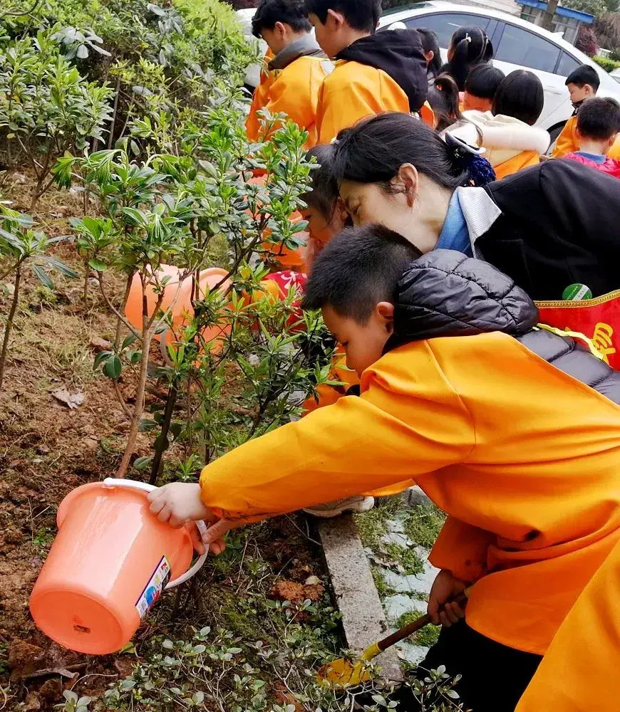 植树节主题活动总结_植树节主题活动8日启动_植树节活动主题
