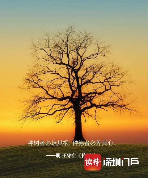 植树节活动主题_植树节主题活动8日启动_植树节主题活动总结