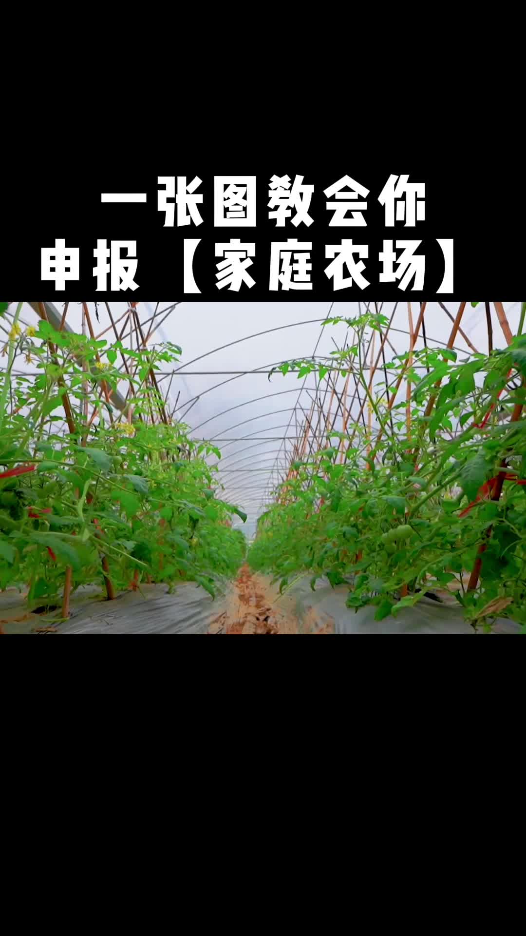 家庭农场申请手续_2021家庭农场申请标准_2024申请家庭农场条件