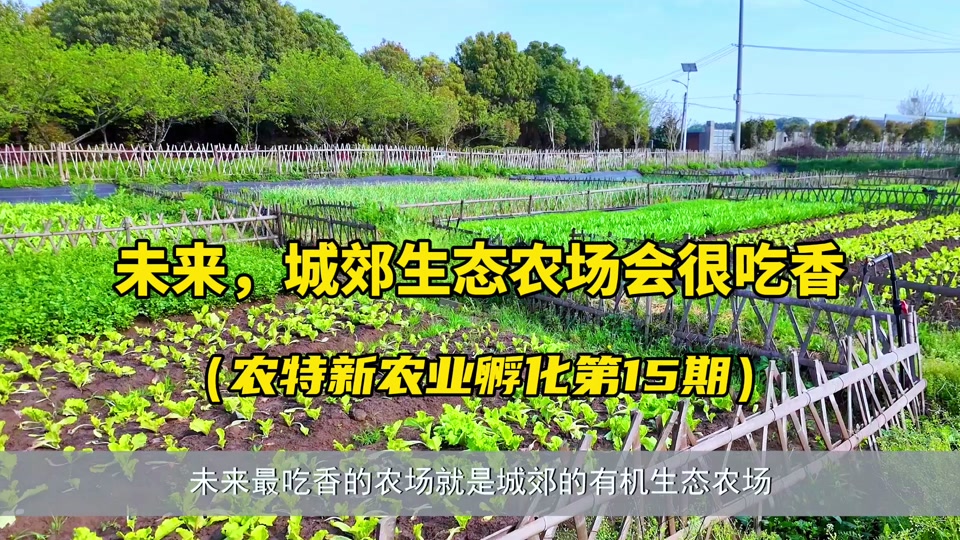 家庭农场申请手续_2024申请家庭农场条件_2021家庭农场申请标准