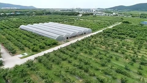 家庭农场申请手续_2024申请家庭农场条件_2021家庭农场申请标准
