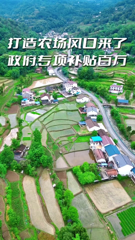 2024申请家庭农场条件_2021家庭农场申请标准_家庭农场申请手续