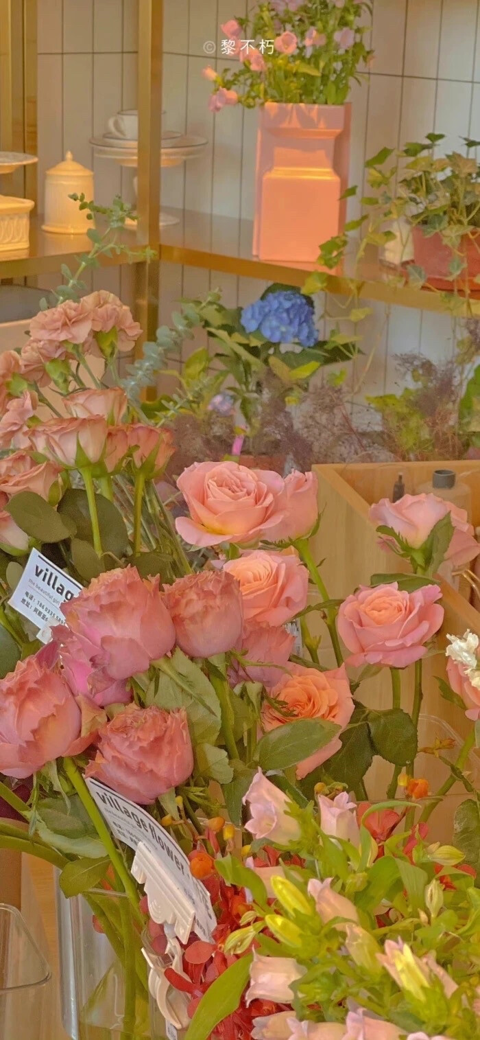 方舟生命类手机游戏推荐_生命方舟类的手机游戏_方舟生命类手机游戏有哪些