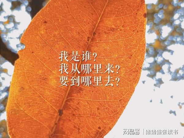 关心是相互的情感句子_关心是动词吗_我是谁的特别关心