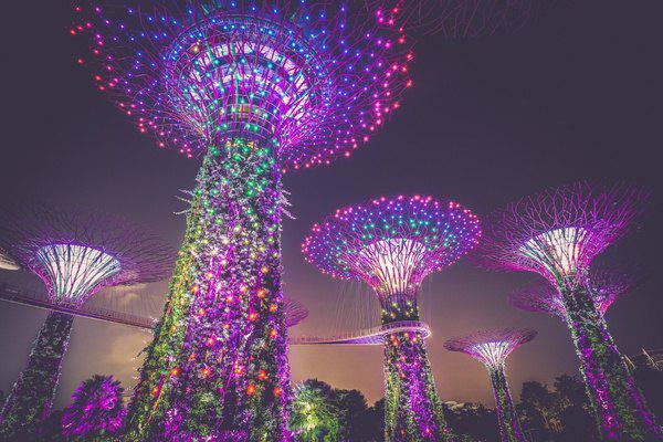 圣诞节大图片大全_圣诞节图片大全集_文圣诞节图片大全