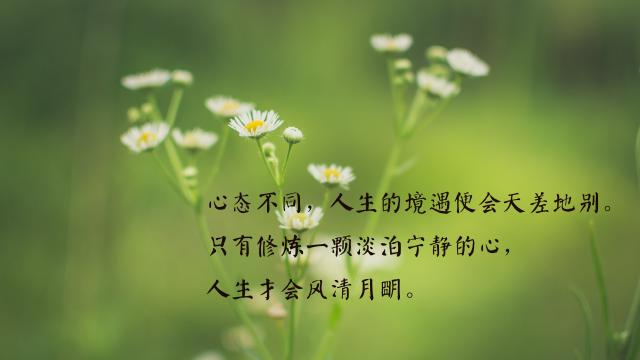 郑才千看的介绍记忆与速读的书_记忆大师郑才千_郑才千的记忆方法