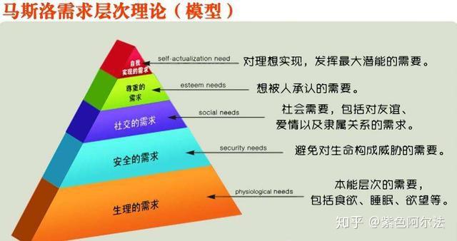 中班社会领域情感教案_中班社会领域情感目标_中班社会情感要求包括哪些