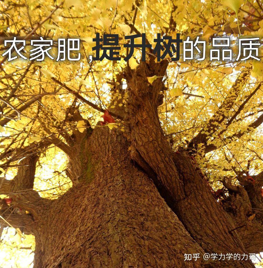 第七章 利用adaboost元算法提高分类_分类算法的作用_算法分类总结