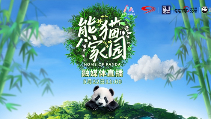 熊猫基地附近农家乐_长鹿农庄的熊猫之家_熊猫家餐馆