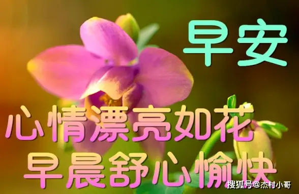 祝愿病人赶快好起来的图片_祝愿病人图片起来好的句子_祝病人的图片