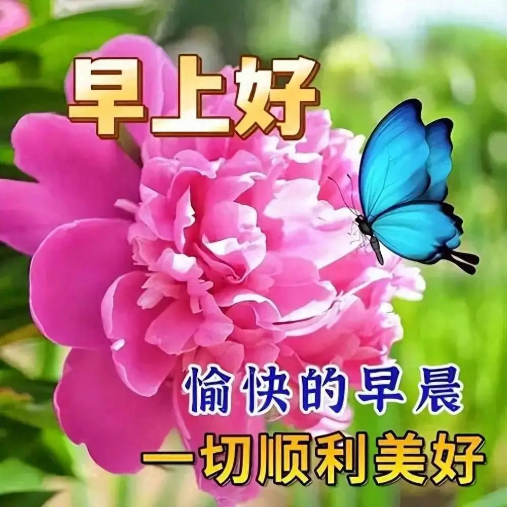 祝愿病人赶快好起来的图片_祝愿病人图片起来好的句子_祝病人的图片
