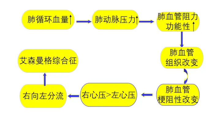 成人室间隔缺损7mm_成人室间隔缺损33mm_成人室间隔缺损对身体的影响