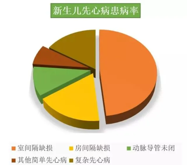 成人室间隔缺损33mm_成人室间隔缺损对身体的影响_成人室间隔缺损7mm