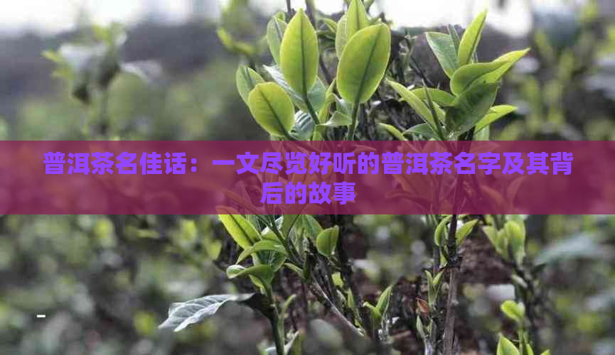 南宫煌实力_南宫煌高清图_南宫煌是谁的儿子