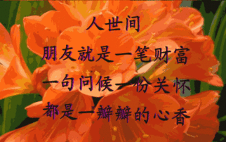元旦动态祝福图片2024最新_元旦动态祝福图片_2024元旦祝福动态图片