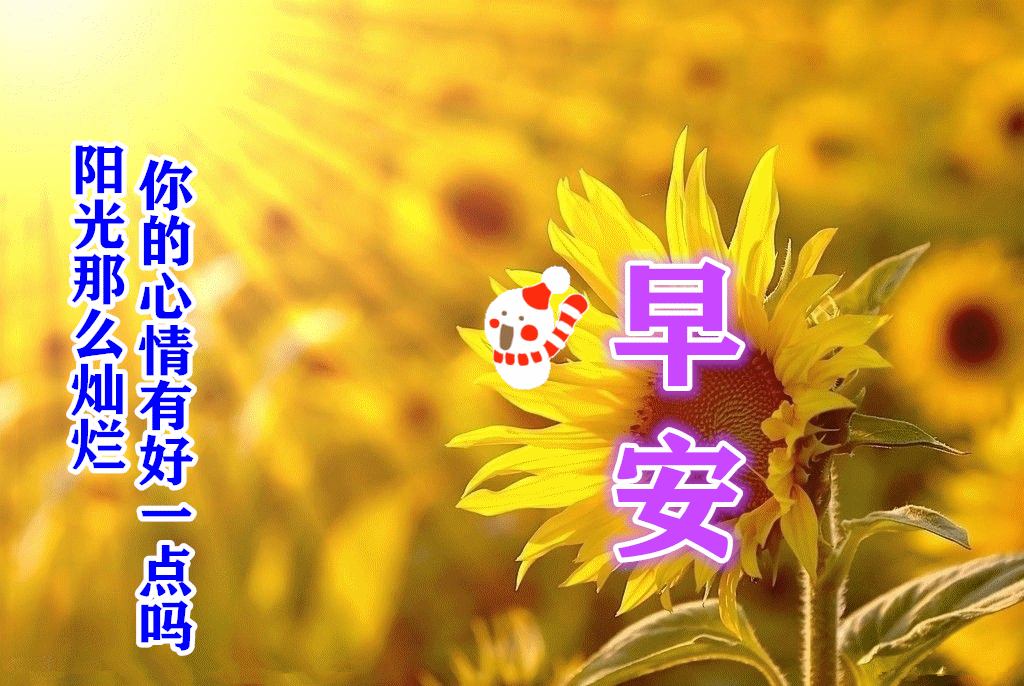 2024元旦祝福动态图片_元旦动态祝福图片2024最新_元旦动态祝福图片
