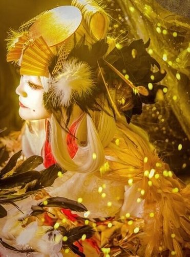 阴阳师姑获鸟控制路线_阴阳鸟是什么_阴阳鸟图片