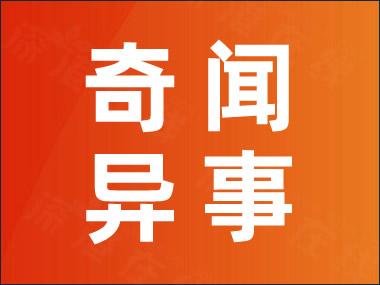 二战前线策略游戏手机版_小游戏二战前线_二战前线策略游戏