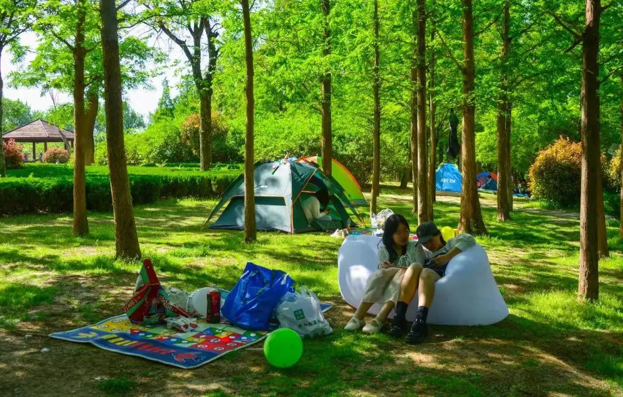遗失的宝藏43场景详解_遗失的宝藏55场景的椅子_遗失的宝藏43场景