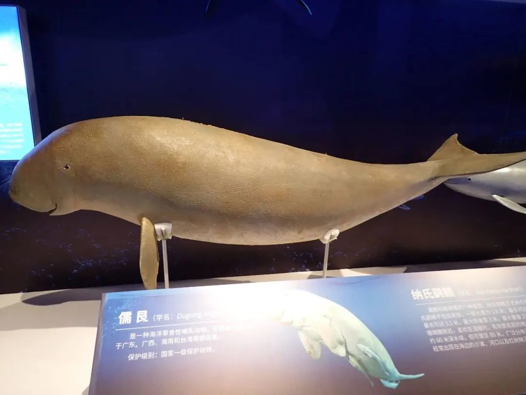 怪怪水族馆玩法_怪怪水族馆怎么玩_水族馆游戏怪怪水族馆