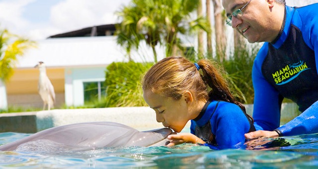 水族馆游戏怪怪水族馆_怪怪水族馆怎么玩_怪怪水族馆玩法