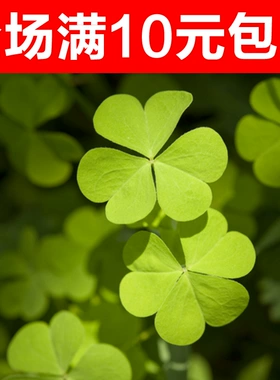 诛仙乾武器兑换券_诛仙3140乾装备兑换_诛仙乾坤币怎么换划算