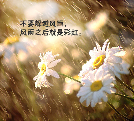 传世女神小说免费阅读_传世女神小说全文阅读_小说传世女神
