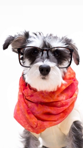 迅游破解版 完美破解_迅游手机破解版_迅游破解版安卓