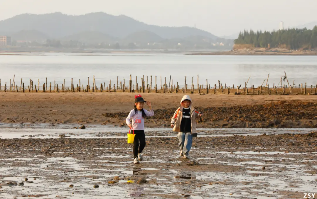 惠州霞涌海边_惠州霞涌海滩_惠州霞涌海钓地点