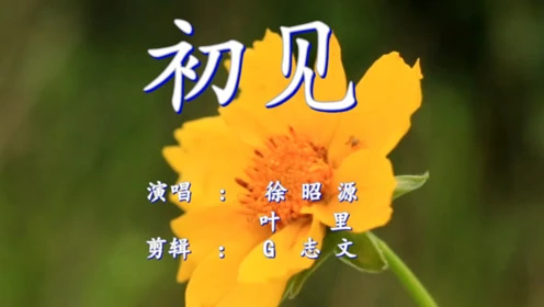 消散啊消散是什么歌_消散歌词_我们消散那首歌
