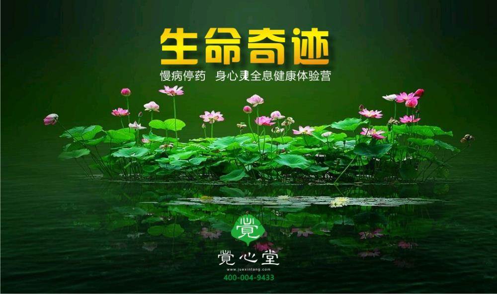 冒险岛技能wz_冒险岛超能力者技能_冒险岛技能范围