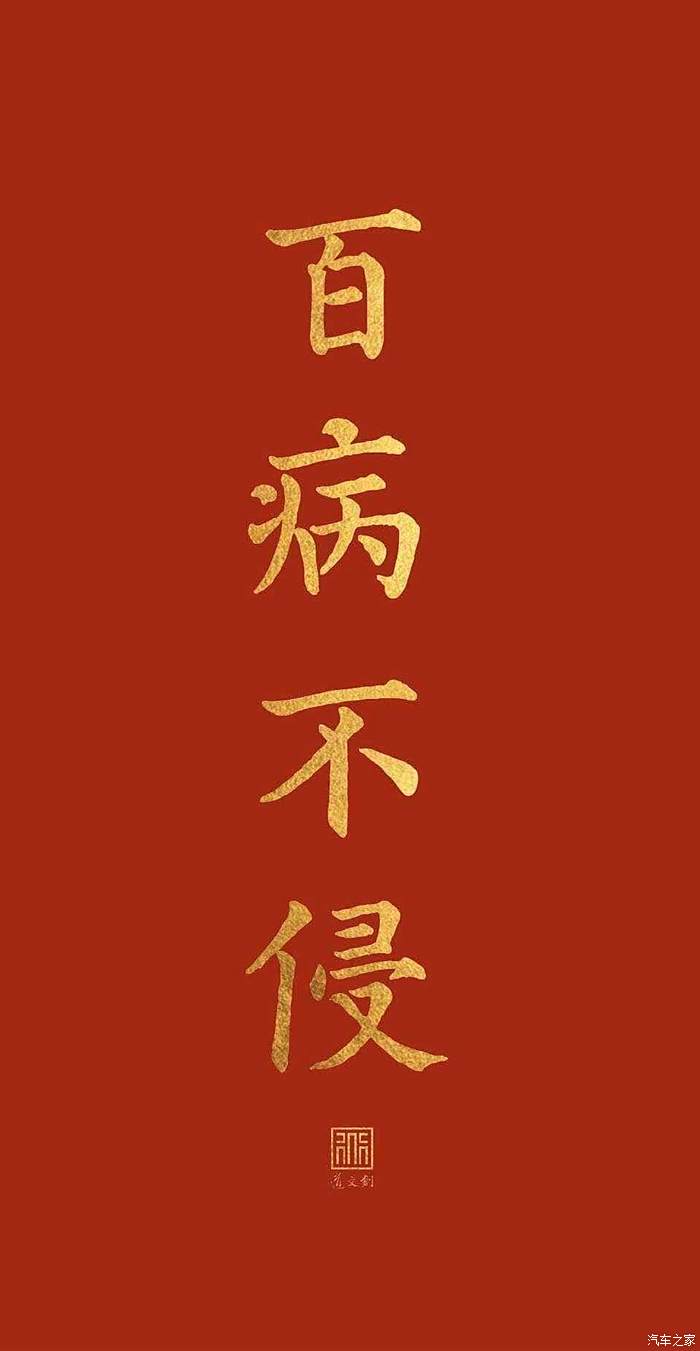 代客泊车登记表_代客泊车登记薄_代客泊车的泊怎么读