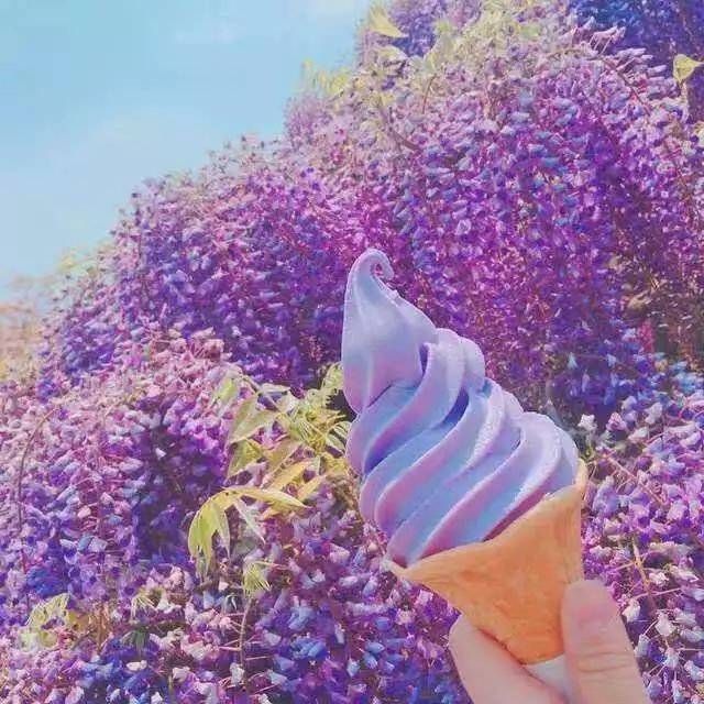 宝宝森林美食下载_森林美食屋_森林里的传说之森林美食家