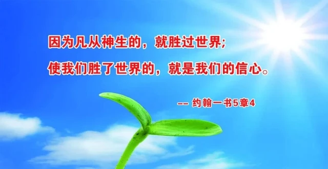 鱼雷图片大全_鱼雷王图片_鱼雷图片动态图片