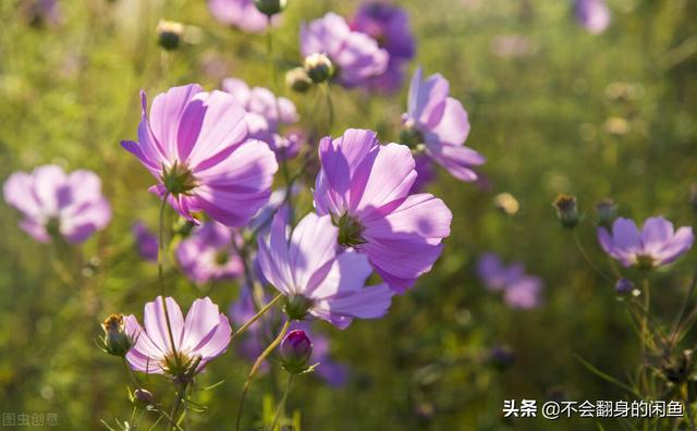 甜蜜屋装饰有限公司_深圳甜蜜屋diy_甜蜜屋装修
