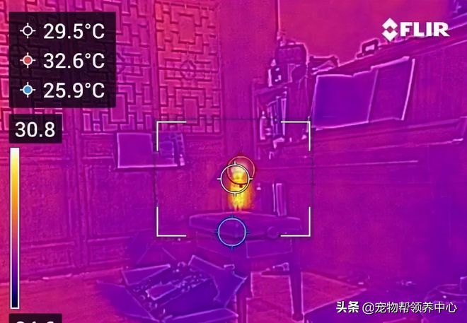 忍者猫工作室2020现状_忍者猫工作室2024现状_忍者猫工作室联系方式