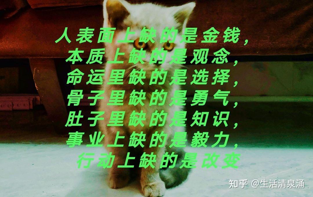 鳄鱼打洛克萨斯之手_洛克打鳄鱼_鳄鱼克洛克达尔