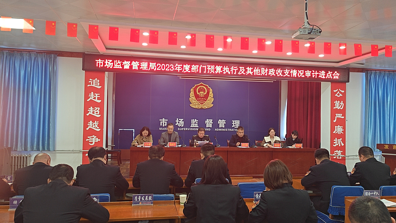 审计三公经费需要需提供的资料_三公经费 审计建议_三公经费审计工作建议