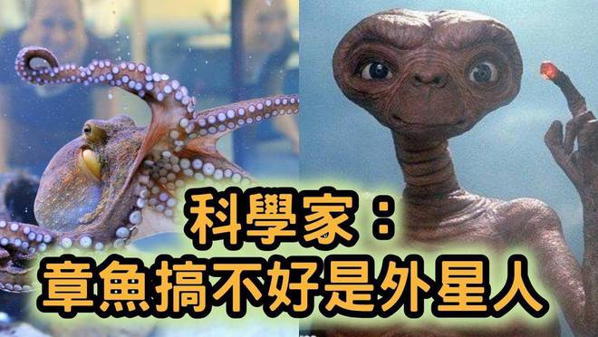 外星章鱼是什么电影_外星人像章鱼的电影_章鱼形外星人电影