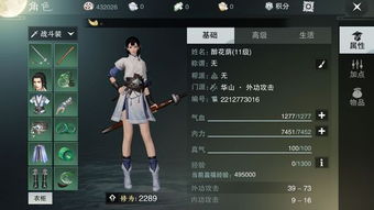 楚留香游戏id,探寻侠影江湖的青春蜕变